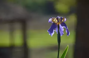Kdy Je Konec Školního Roku