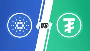 Horizontální Vs Vertikální